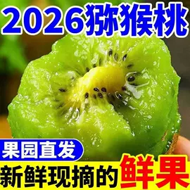 暖风机取暖器;壁炉;电风扇