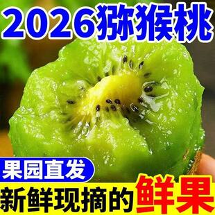 �����F����������J�������r�殐���G�Ĺ���ˮ���Y��������]