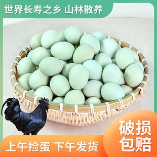 �r��G�����u����ɽɢ�B������r�F�l�ЋD���Ӟ��u����������