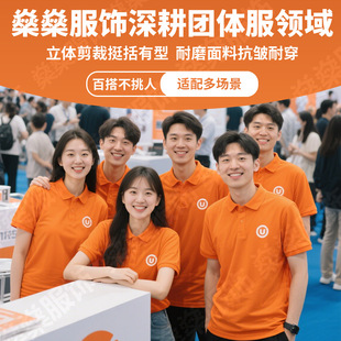 Polo Shirts with Custom Logo, Pure Cotton Short-Sleeved Work Clothes, Custom-Made Ice Silk Quick-Drying Work Clothes, Embroidered Work Clothes with Printing