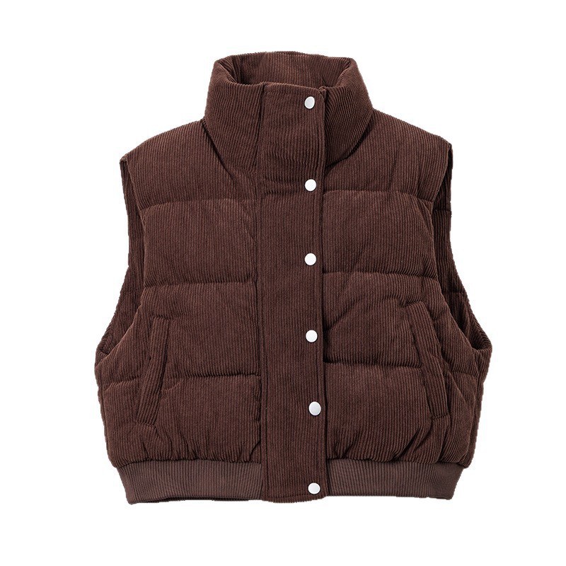 Comercio exterior de lana de pluma de algodón chaleco de mujer otoño y invierno de 2025 nuevo estilo coreano holgado chaleco de hombro de clip de caballo chaqueta