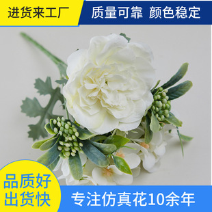 ����軨����M�ϻ����W�������滨ĵ��ñ�Ӽٻ���õ���[���Z���Q