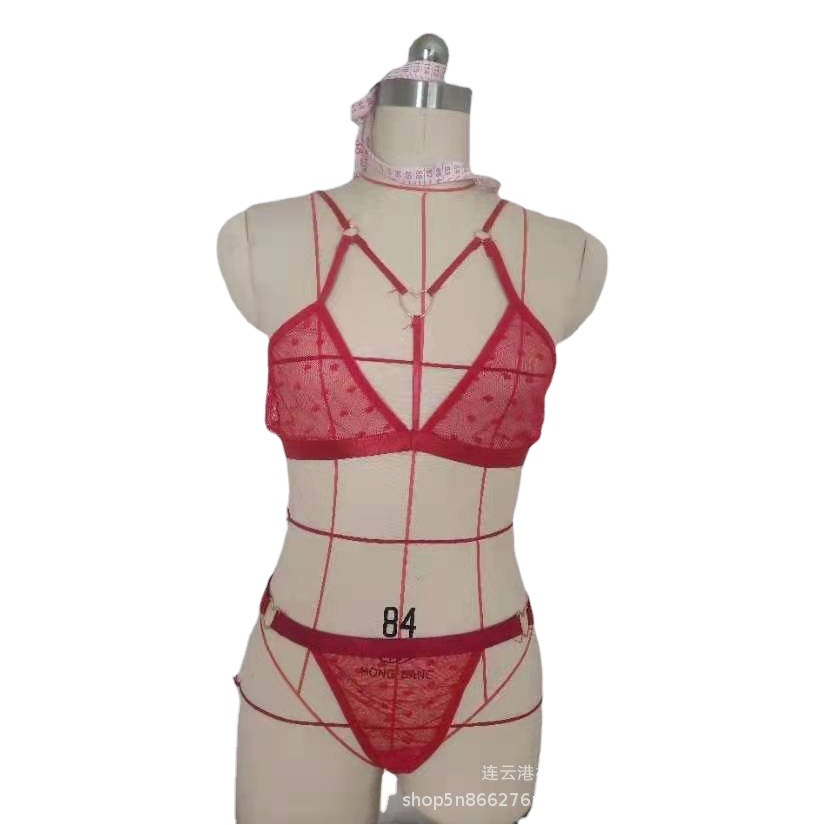 Suministro transfronterizo europeo y americano de comercio exterior sexy lencería sexy más tamaño malla fábrica entrega al por mayor 14541