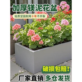 Rectangular Cement Flower Pot Nordic Long Trough Living Room Balcony Large Size Long Outdoor Magnesium Mud Flower Pot Flower Box