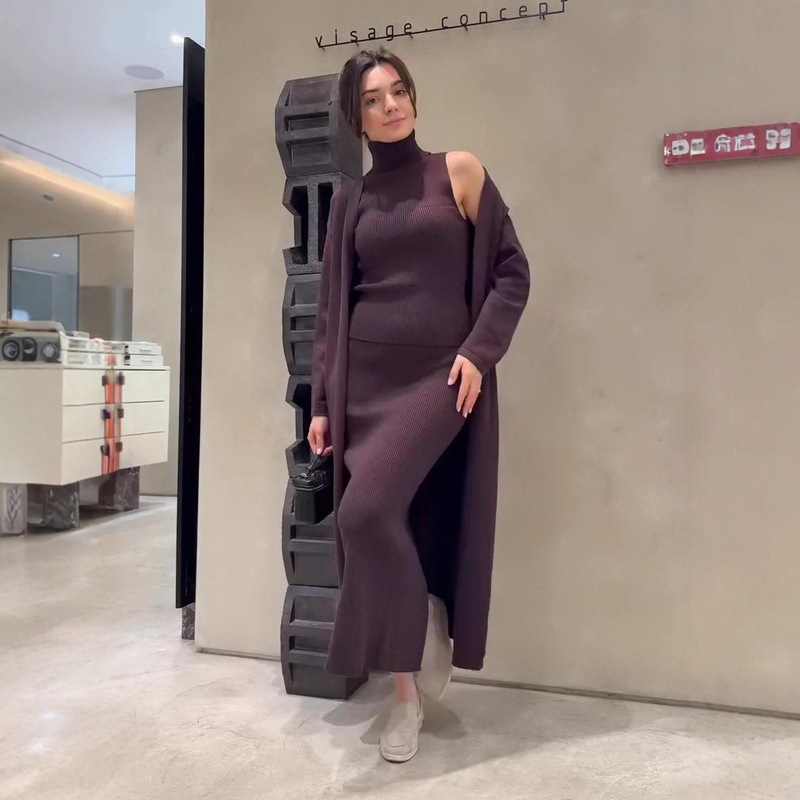 欧美女跨境外贸时尚2025秋新款高领打底针织毛衣长裙包臀长袖外套|undefined