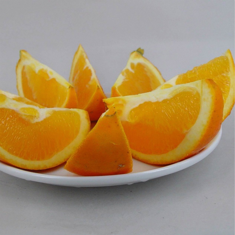 销售果树苗木嫁接橙子树批发 麻阳冰糖橙苗 脐橙苗可混批冰糖柑