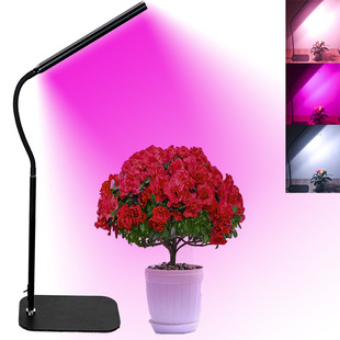 ledֲ�����L��ֲ��������a�����ض��rȫ���V̫ꖹ���{�����