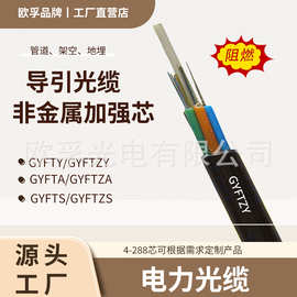 gyfty/gyftzy-48b1 48芯非金属加强芯站内光缆导引光纤