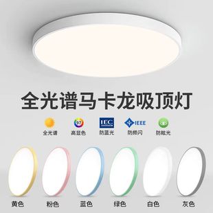 Bedroom Lamp Macaron Led Ceiling Lamp Modern Minimalist Living Room Study Balcony Room Lamp Remote Control Zhongshan Lamps