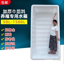 �Ӻ�ţ������ˮ�䳤���κ�ˮ����ֳ������������ɲ���ת����Ͱ