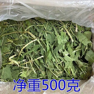 ���Ĳ�������؈���m�i�����������ӼZʳ����500�˾��ĸɲ�