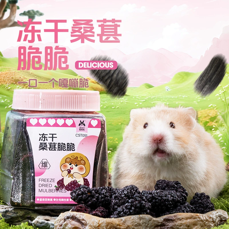 Сушеные хрустящие фруктовые снеки из шелковицы «Золотой медведь», корм для хомяков «Чонгшантянь»