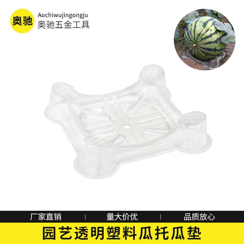 Садоводство Прозрачная дыня арбуз дыня дыня дыня коврик идиллические блистерные фрукты