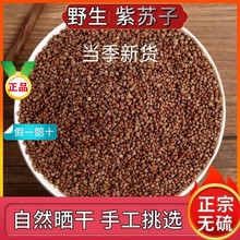 ���K����ș����Ʒ���K�� �����K����ʳ�� �ͷǿ�ĥ���K�ѷ�