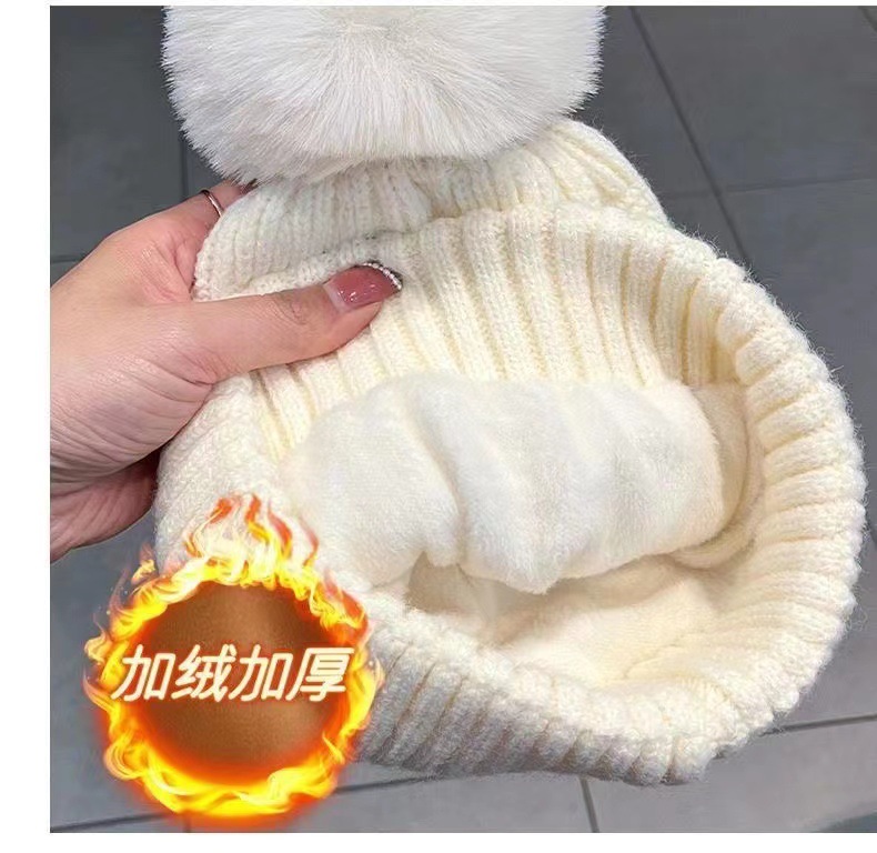 微信图片_20231121082632