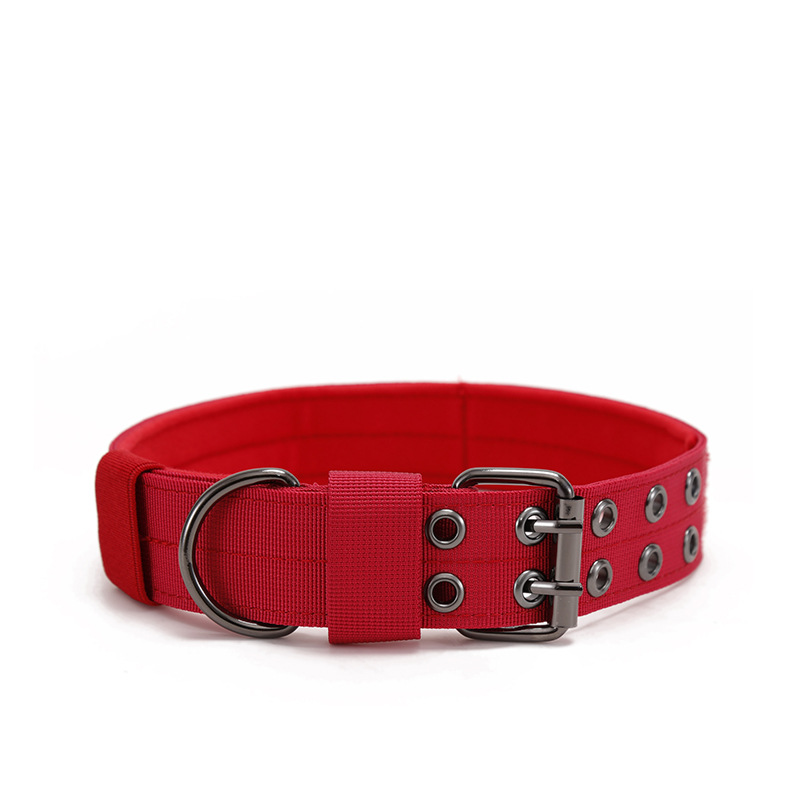Dog Collar Image 2