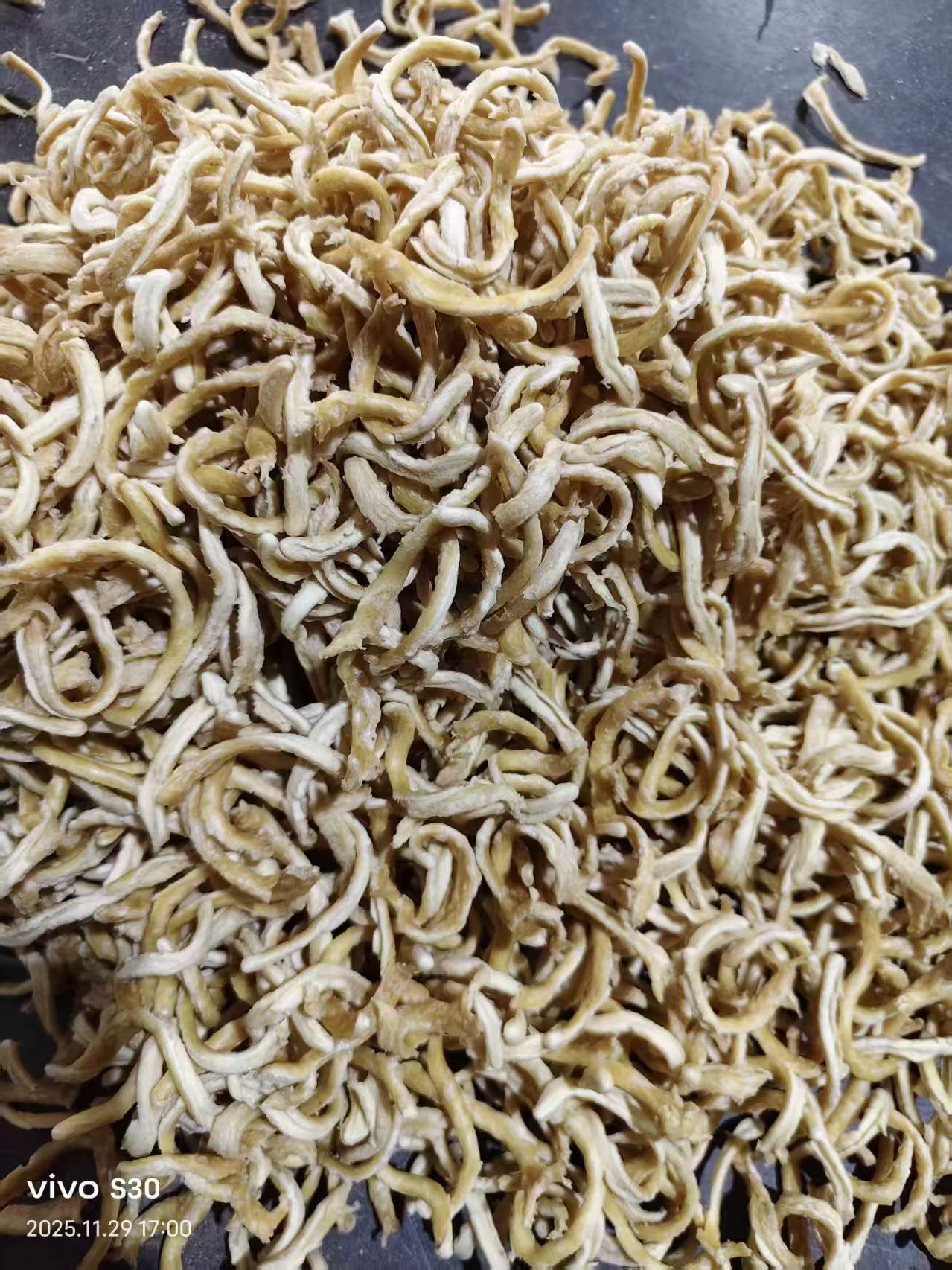 lQDPJxlzd9MNLSPNBqrNBP-wl5he5Q