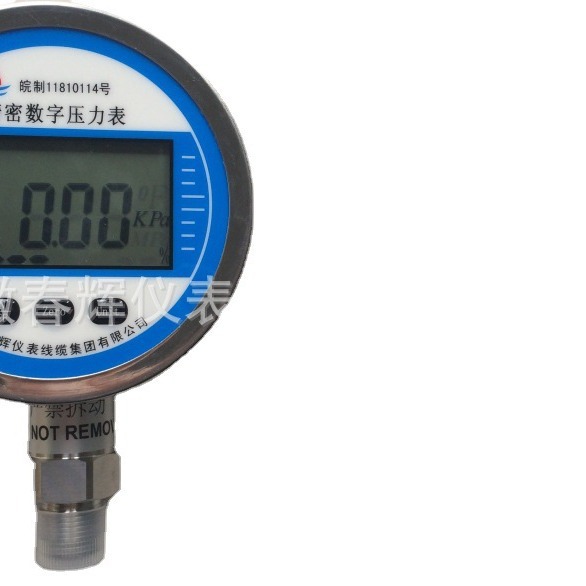 氯气用数字压力表CH-YL-100HF数显压力表