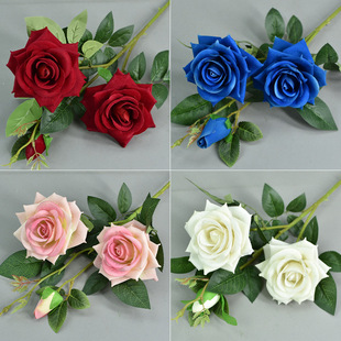 ���^�q��õ��͏d�����ٻ��Ҿ��b�ˇƷ�����õ�廨���l