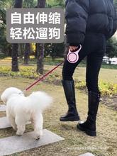 狗狗牵引绳伸缩自动遛狗绳中小型犬泰迪狗绳子狗链宠物收缩牵狗绳