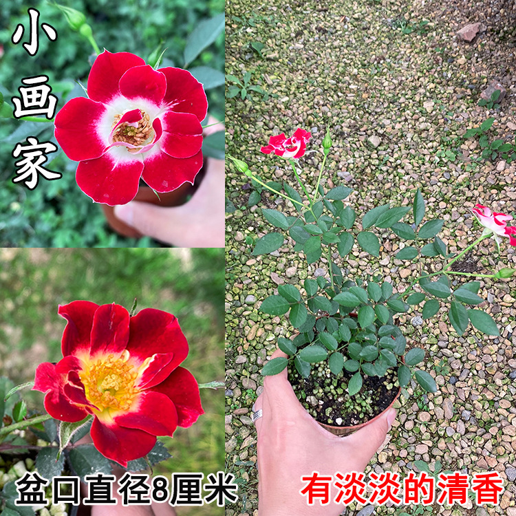 ��������