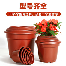 ���ϻ���AB�͈A��߅���طNֲ�tɫ�¼������؃r��}̎�����]������