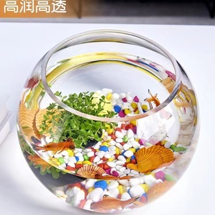 �A�����~�� ��̖ˮ���� ���~�� ������ ˮ��Gֲ��ˮ��ֲ���