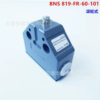 滚轮式限位开关 BNS819-FR-60-101组合行程开关 数控机床开关