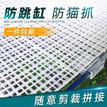 �~���w������W͸���W����x����~������̨ˮ����͸���w�����w