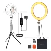 RH10B 20W dual color temperature ring fill light with reflective light stand