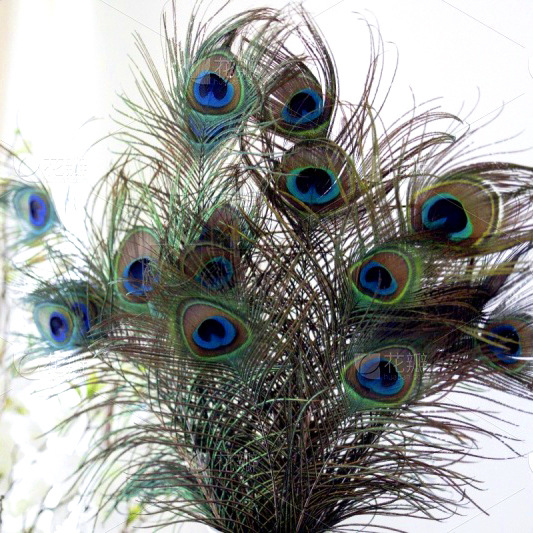 Spot al por mayor lana natural 25-30CM decoración de joyas adornos de plumas de bricolaje tocado de plumas de pavo real terciopelo