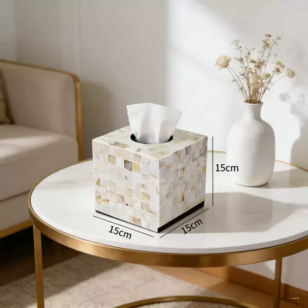 Nordic Ins Style Natural Shell Tissue Box for Home Use, Creative Desktop Tissue Holder for Living Room