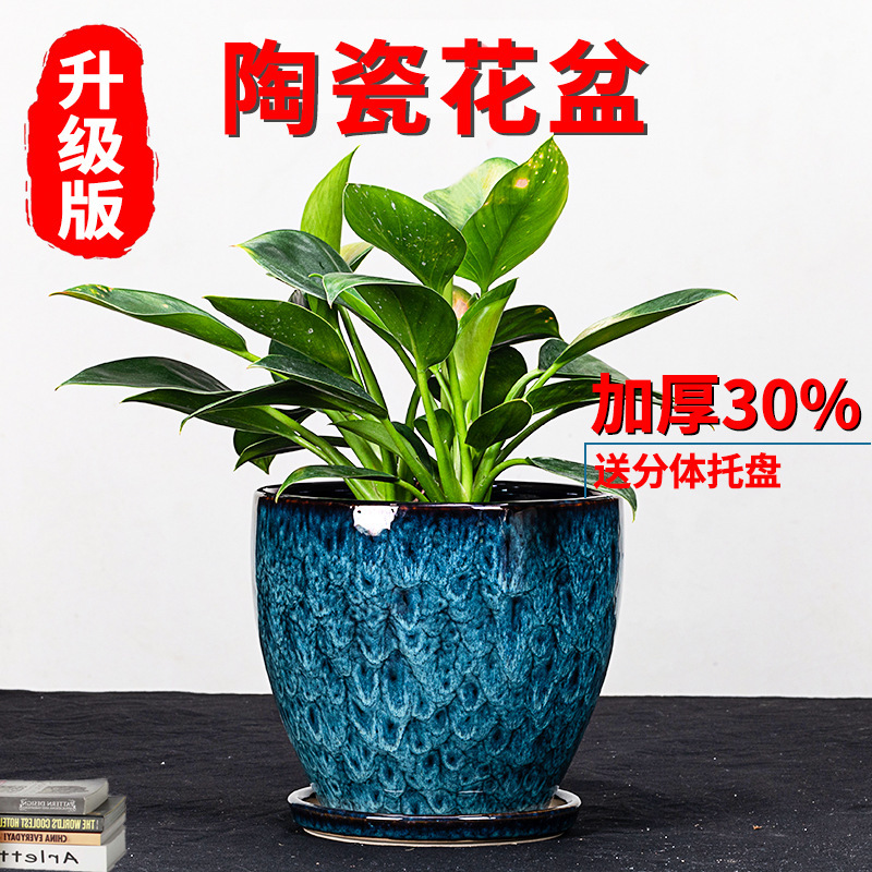 儿里凡花盆陶瓷家用圆形带分体托盘古典桌面花卉绿萝君子兰多肉绿|undefined