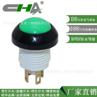 Zhaohua Supply Replace OTTO P9 Series Green Reset Button Switch Double Pole Single Throw IP67 Flat Head