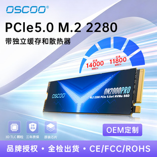 OSCOO�̑BӲ�PM.22280����ʿ����ԭ�b�w��3DTLCPCIe5.0����SSD