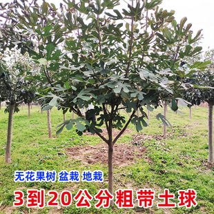 һ�����l�o��������玧���򰫻����Ե����ϱ����Nֲ����Y���ش�