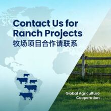 Long Standby GPS Tracker for Pasture Animals