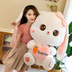 可愛毛絨玩具兔兔公仔布娃娃玩偶廠家批發生日禮物女生外貿軟抱枕