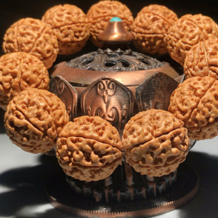 8������ԭ��7�������������Ů������������߰˰���ʿ�����ִ�