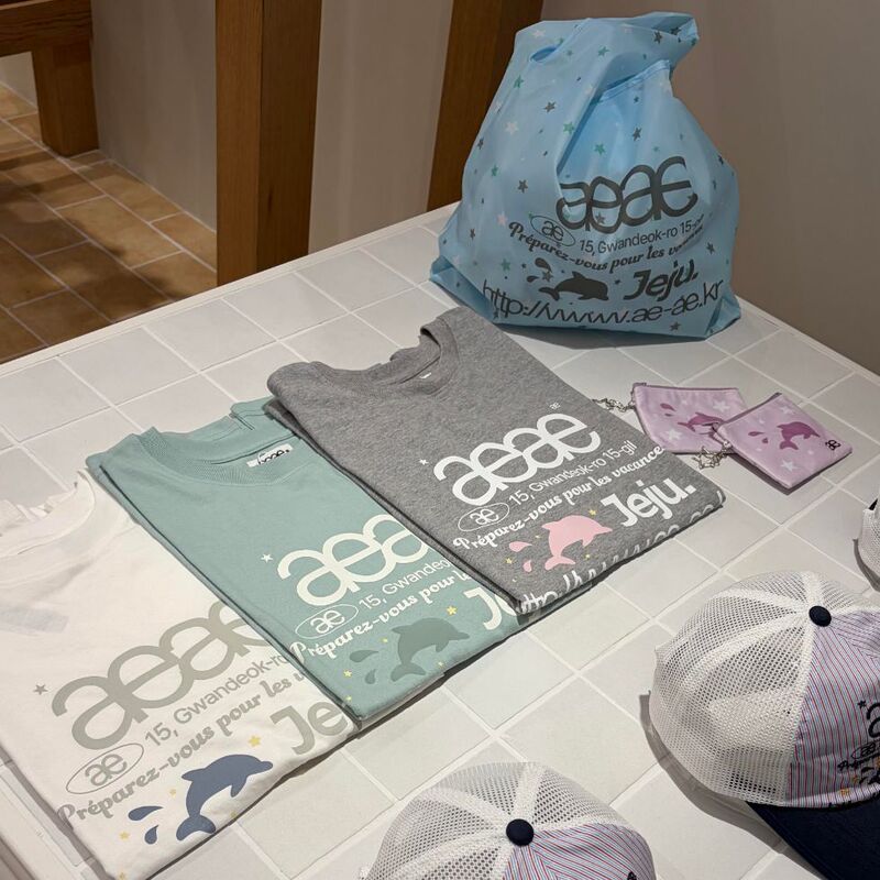 [Official Website Authentic Product] Aeae Limited Edition Cute Dolphin Letter Print Short-Sleeved Summer Loose Top T-Shirt Ins