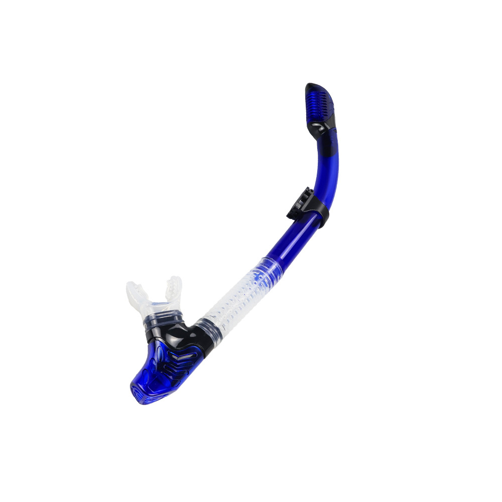 푸른 호수를 통해