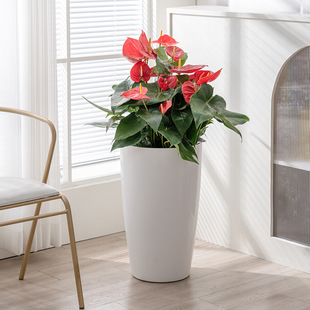 ���W����ˮ����͏d����k���Ҵ�̖���ψA�Α����❲ˮ�Gֲ��ˮ��