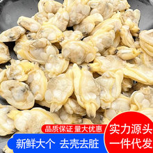 新鲜特大花蛤肉干冷冻无沙蛤蜊肉鲜活即食花甲肉蚬子肉无冰衣商用