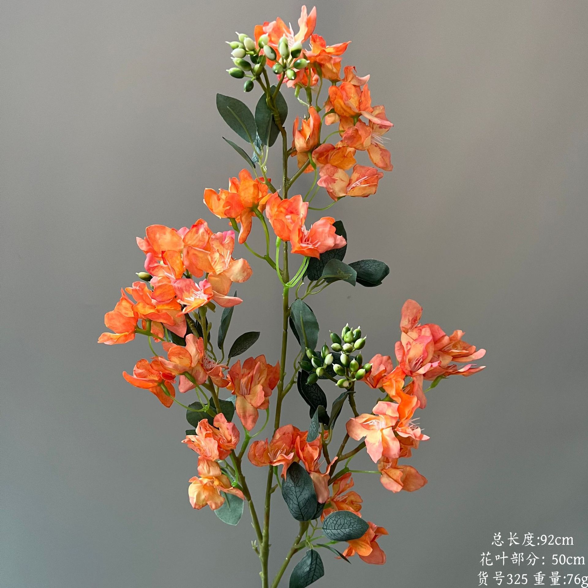 품목 번호 325-삼지창 측백나무 매화