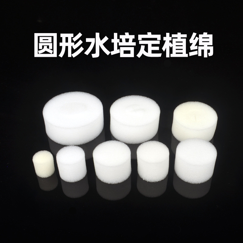 圆形定植绵主图