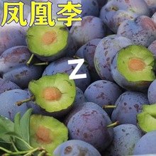 ���ӬFժ�Ĵ������ϡ���P�������´����ЋDС������ˮ�����l