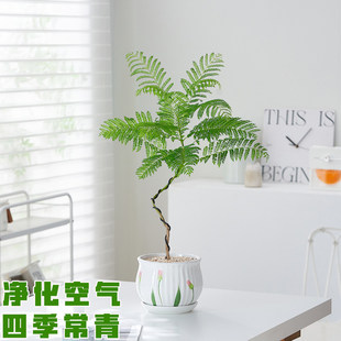 �{������Կ͏d�k���҃�����ֲ������С�辰�ļ����B�����՚�Gֲ
