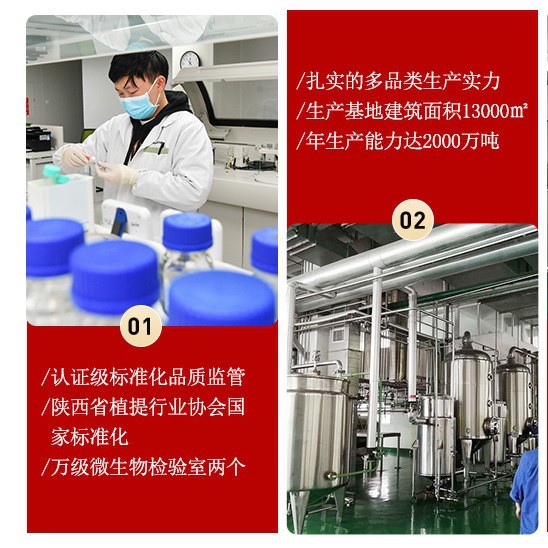 Damianatide 98% Damianatide Extract Food Grade Small Molecule Oligopeptides Pafitte in stock