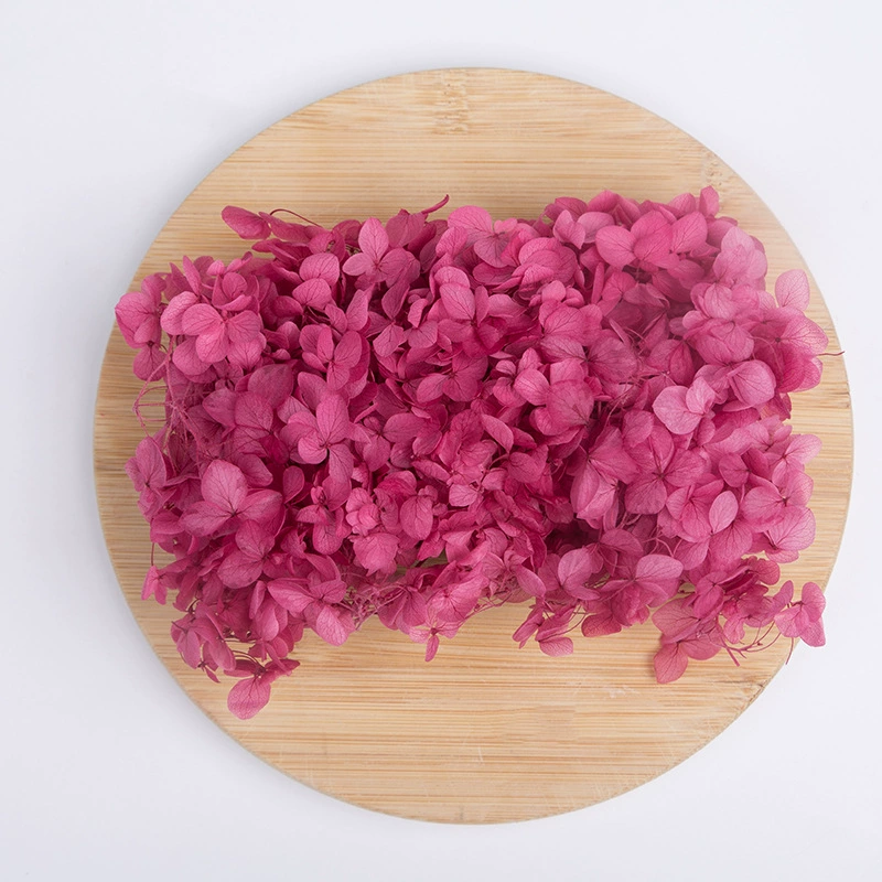 Вечный цветок Сухоцветная коробка Анна Гранди Hydrangea посыпанные лепестки цветов для лица свадьбы оформление Цветочный стиль