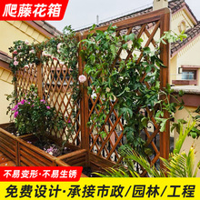 ���ٻ����¼�õ�����ٻ������X�Ͻ�řڸ��໨���̨ͥԺ�Nֲ��